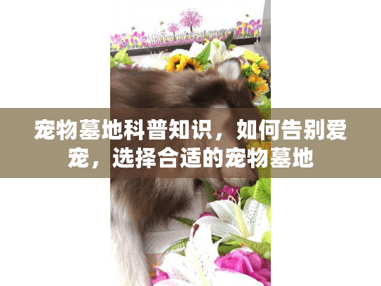 宠物墓地科普知识，如何告别爱宠，选择合适的宠物墓地