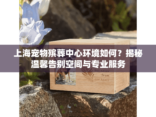 上海宠物殡葬中心环境如何？揭秘温馨告别空间与专业服务