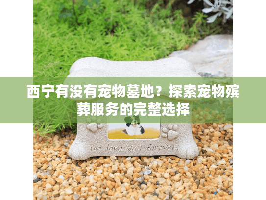 西宁有没有宠物墓地？探索宠物殡葬服务的完整选择