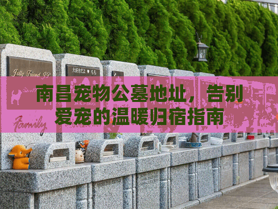南昌宠物公墓地址，告别爱宠的温暖归宿指南