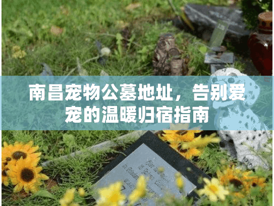 南昌宠物公墓地址，告别爱宠的温暖归宿指南