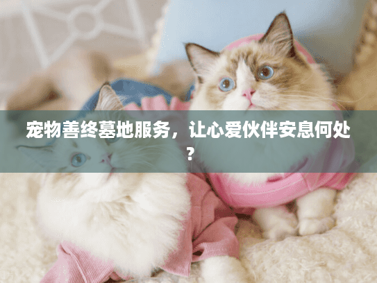 宠物善终墓地服务，让心爱伙伴安息何处？