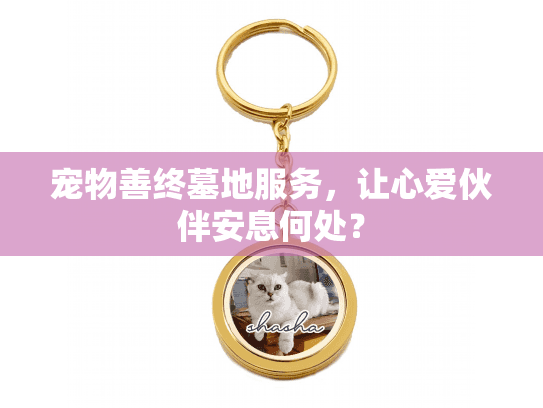 宠物善终墓地服务，让心爱伙伴安息何处？