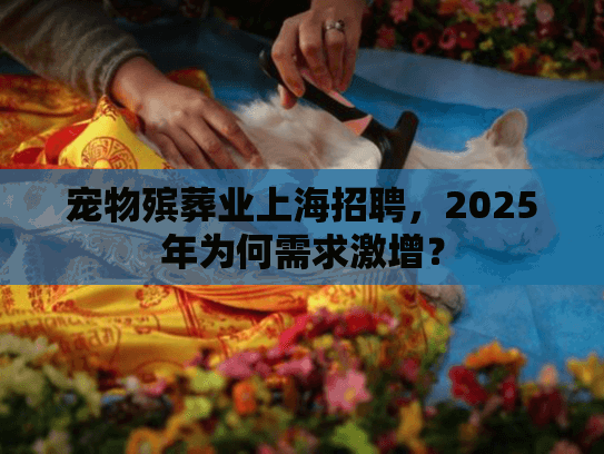 宠物殡葬业上海招聘，2025年为何需求激增？