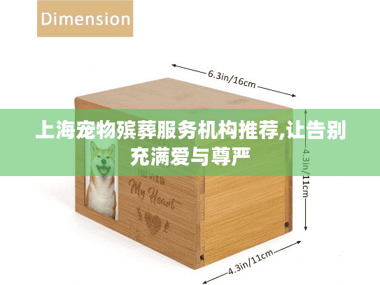 上海宠物殡葬服务机构推荐,让告别充满爱与尊严