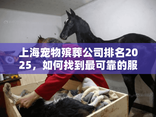 上海宠物殡葬公司排名2025，如何找到最可靠的服务？