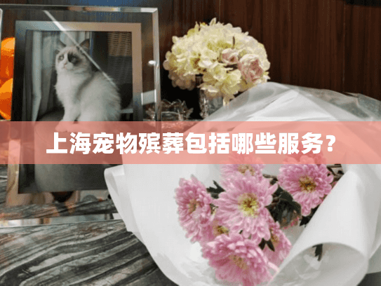 上海宠物殡葬包括哪些服务？