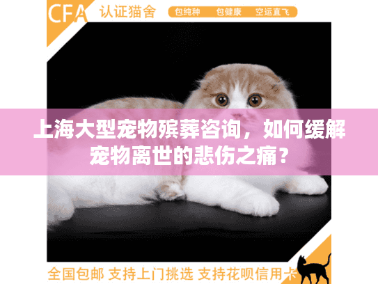 上海大型宠物殡葬咨询，如何缓解宠物离世的悲伤之痛？