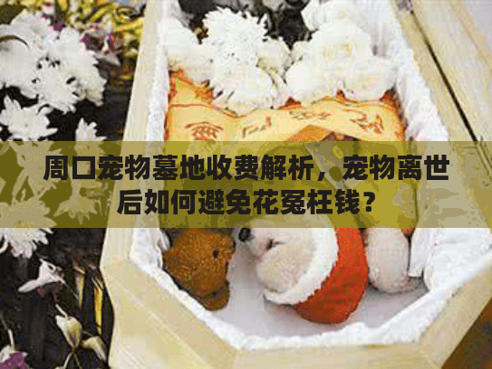 周口宠物墓地收费解析，宠物离世后如何避免花冤枉钱？