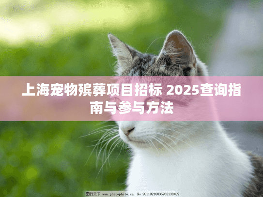 上海宠物殡葬项目招标 2025查询指南与参与方法