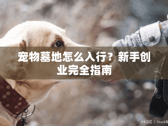 宠物墓地怎么入行？新手创业完全指南