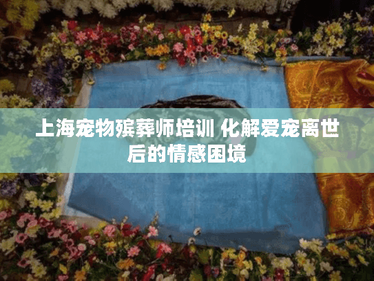 上海宠物殡葬师培训 化解爱宠离世后的情感困境