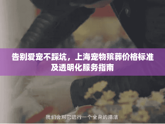 告别爱宠不踩坑，上海宠物殡葬价格标准及透明化服务指南
