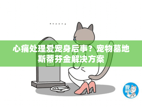 心痛处理爱宠身后事？宠物墓地斯蒂芬金解决方案