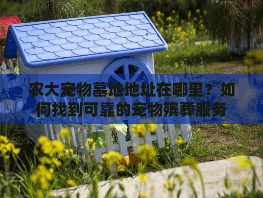 农大宠物墓地地址在哪里？如何找到可靠的宠物殡葬服务
