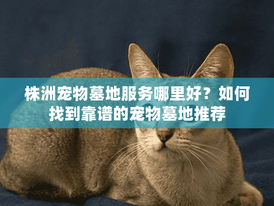 株洲宠物墓地服务哪里好？如何找到靠谱的宠物墓地推荐