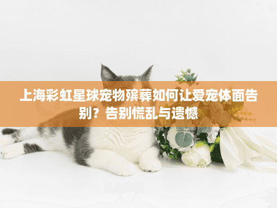 上海彩虹星球宠物殡葬如何让爱宠体面告别？告别慌乱与遗憾