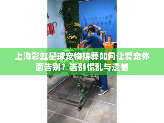 上海彩虹星球宠物殡葬如何让爱宠体面告别？告别慌乱与遗憾