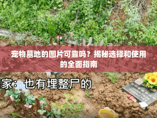 宠物墓地的图片可靠吗？揭秘选择和使用的全面指南