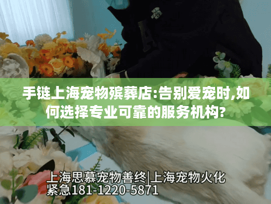 手链上海宠物殡葬店:告别爱宠时,如何选择专业可靠的服务机构?