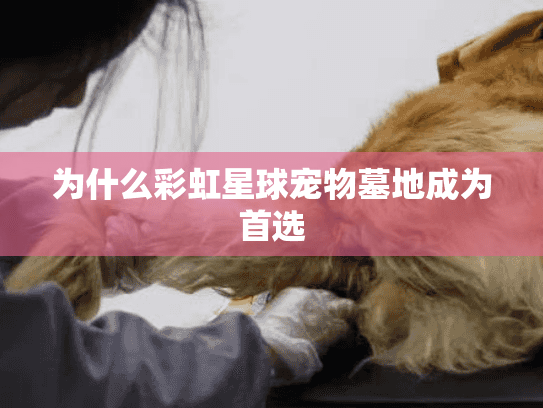 为什么彩虹星球宠物墓地成为首选