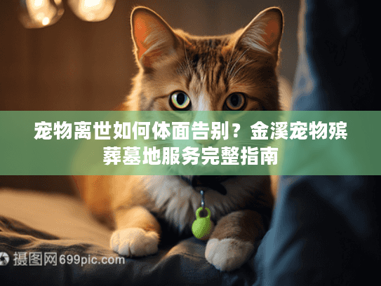 宠物离世如何体面告别？金溪宠物殡葬墓地服务完整指南