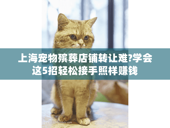 上海宠物殡葬店铺转让难?学会这5招轻松接手照样赚钱