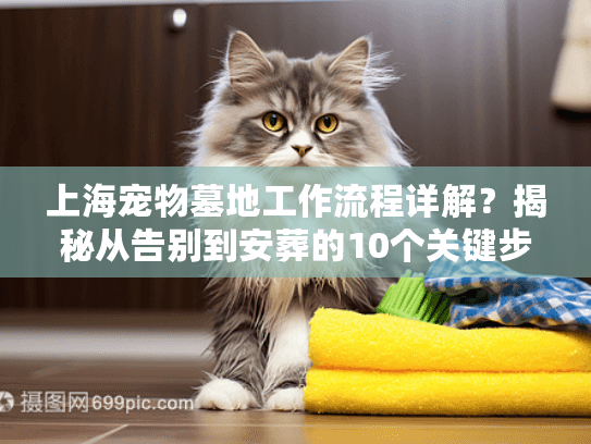 上海宠物墓地工作流程详解？揭秘从告别到安葬的10个关键步骤