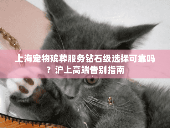 上海宠物殡葬服务钻石级选择可靠吗？沪上高端告别指南