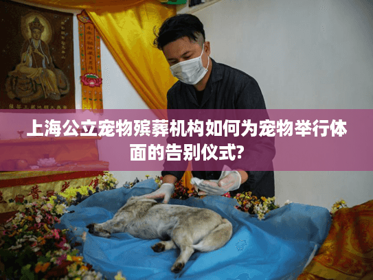 上海公立宠物殡葬机构如何为宠物举行体面的告别仪式?