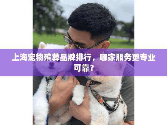 上海宠物殡葬品牌排行，哪家服务更专业可靠？