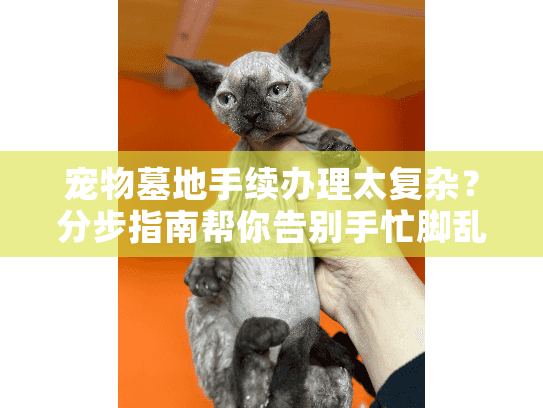 宠物墓地手续办理太复杂？分步指南帮你告别手忙脚乱