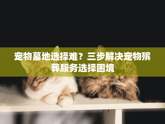 宠物墓地选择难？三步解决宠物殡葬服务选择困境