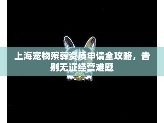 上海宠物殡葬资质申请全攻略，告别无证经营难题