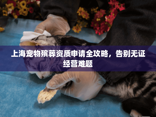 上海宠物殡葬资质申请全攻略，告别无证经营难题