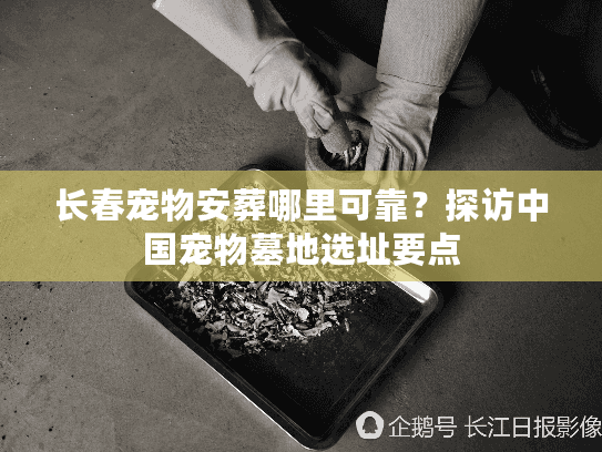 长春宠物安葬哪里可靠？探访中国宠物墓地选址要点