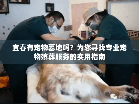 宜春有宠物墓地吗？为您寻找专业宠物殡葬服务的实用指南