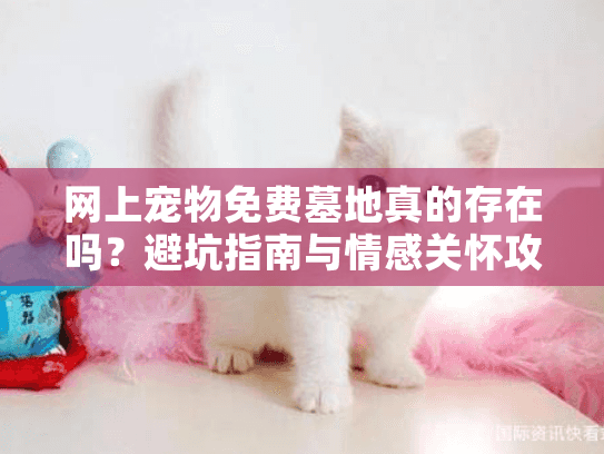 网上宠物免费墓地真的存在吗？避坑指南与情感关怀攻略