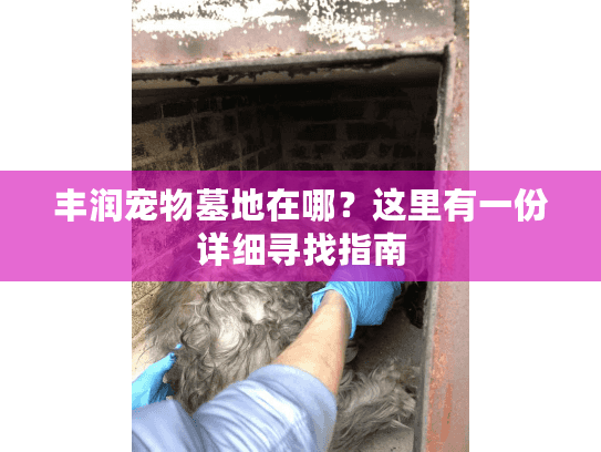 丰润宠物墓地在哪？这里有一份详细寻找指南