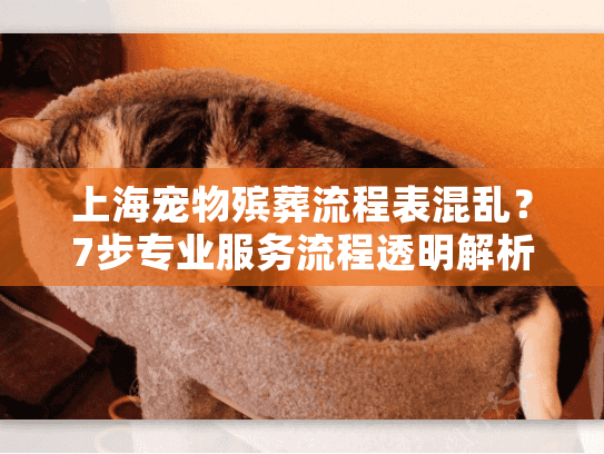 上海宠物殡葬流程表混乱？7步专业服务流程透明解析
