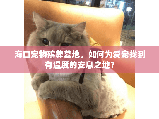 海口宠物殡葬墓地，如何为爱宠找到有温度的安息之地？