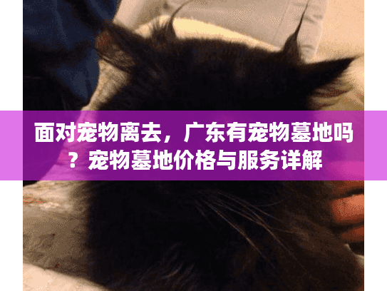 面对宠物离去，广东有宠物墓地吗？宠物墓地价格与服务详解
