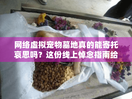 网络虚拟宠物墓地真的能寄托哀思吗？这份线上悼念指南给你答案