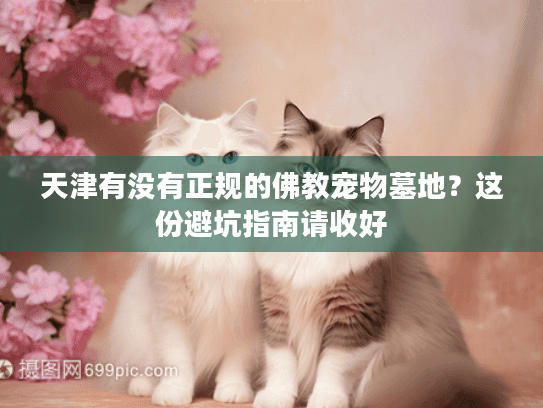天津有没有正规的佛教宠物墓地？这份避坑指南请收好
