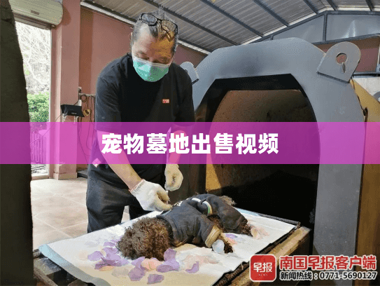 宠物墓地出售视频