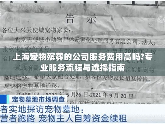 上海宠物殡葬的公司服务费用高吗?专业服务流程与选择指南