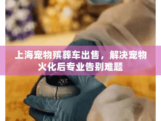 上海宠物殡葬车出售，解决宠物火化后专业告别难题