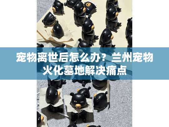 宠物离世后怎么办？兰州宠物火化墓地解决痛点