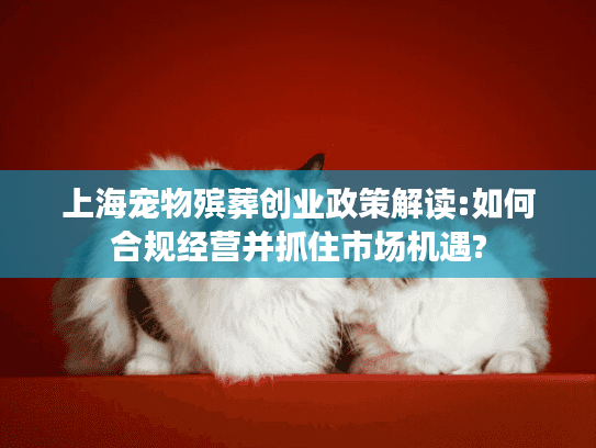 上海宠物殡葬创业政策解读:如何合规经营并抓住市场机遇?