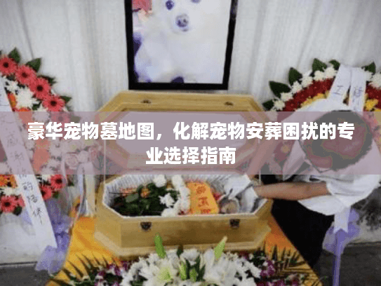 豪华宠物墓地图，化解宠物安葬困扰的专业选择指南